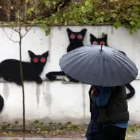 آسمان فارس سرانجام بارید