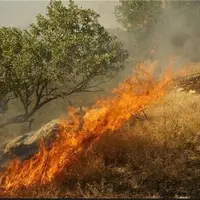 دستگیری عامل آتشسوزی عمدی در جیرفت