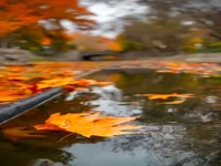 پاییز باغ وکیل آباد مشهد 