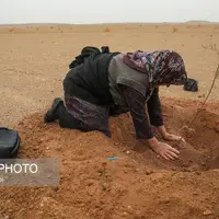  پویش کاشت نهال با عنوان "در سایه مادر"