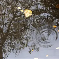 ثبت رکورد بارش ۲۸ میلیمتر باران در قرهچشمه مینودشت