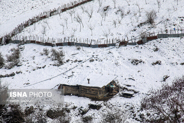 هوای گیلان تا ۱۲ درجه سرد می شود