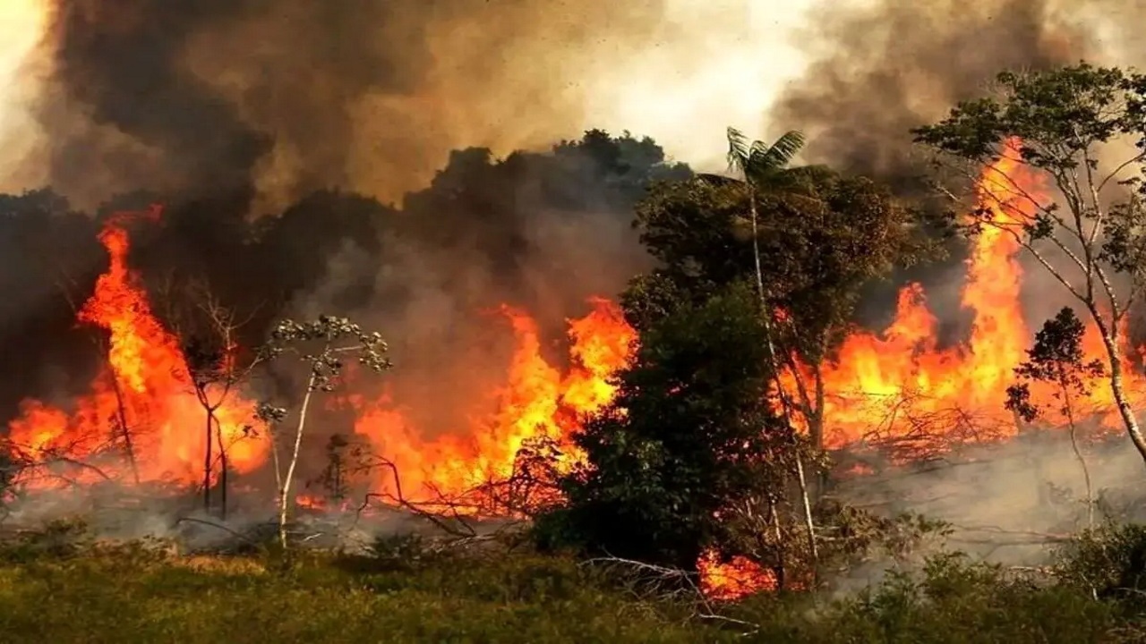 گلایه معاون محیط زیست درباره گزارش مجلس در خصوص آتش‌سوزی جنگل الیت
