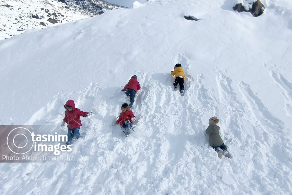 عکس/ بارش برف در ارتفاعات تاریکدره همدان