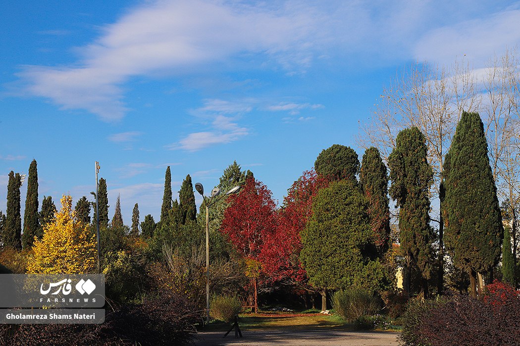 پاییز باغ گیاه شناسی نوشهر
