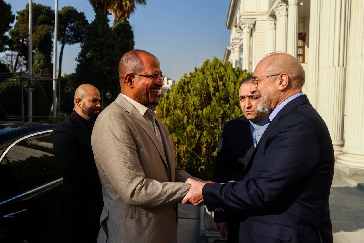 عکس/  دیدار رئیس‌مجلس اتیوپی با قالیباف