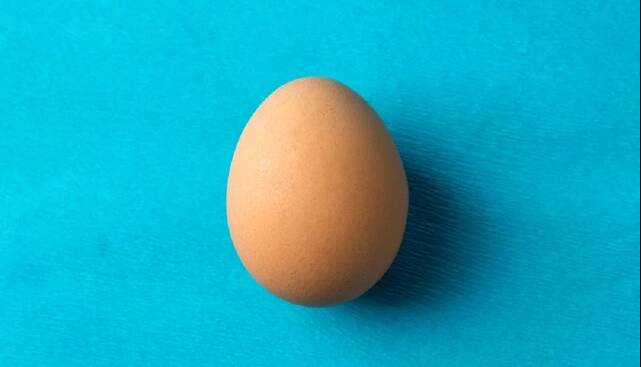 نقش تخممرغ در سلامت مغز