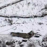 هوای گیلان تا ۱۲ درجه سرد می شود