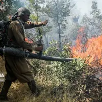 گزارش مجلس درباره آتش سوزی جنگلهای الیت غیرکارشناسی است