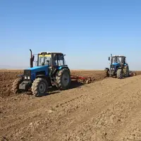 سطح زیرکشت محصولات پاییزه در بیلهسوار به رکورد جدیدی رسید