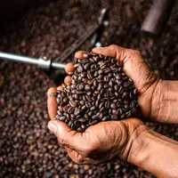 ۲ تن قهوه خارجی قاچاق در بابل کشف شد