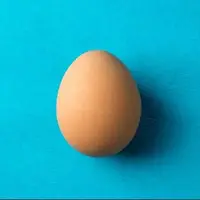 نقش تخممرغ در سلامت مغز