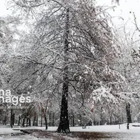 شهردار آستارا: آمادگی کامل برای بارش برف و باران را داریم