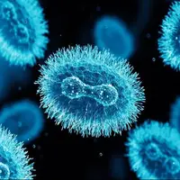 هوش مصنوعی پاشنه آشیل آبله میمونی را پیدا کرد