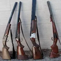 ۱۴ قبضه سلاح و ۵۶ لاشه جانوری در مازندران کشف شد