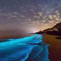 ساحل های زیبای هنگام