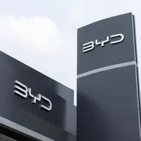 بیوایدی در ترکیه به تکاپو افتاد