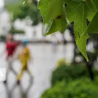 رودسر با ثبت ۹۰ میلیمتر باران، رکورددار بارندگی در گیلان شد