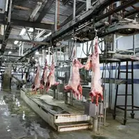 پرونده کشتارگاه دام نوشهر روی میز دستگاه قضا