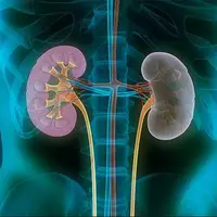 راه و رسم سلامت برای بیماران کلیوی