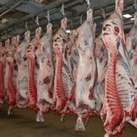 باند توزیع گوشتهای آلوده در اصفهان منهدم شد