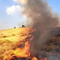 عامل حریق گسترده در منطقه مله گاله شیراز شناسایی شد
