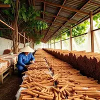 گوناگون/داستان ادویه‌ای که جهان را تغییر داد!