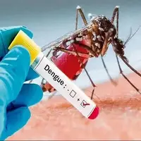 افزایش شمار مبتلایان به تب دنگی به ۲۵۵ تَن در هرمزگان