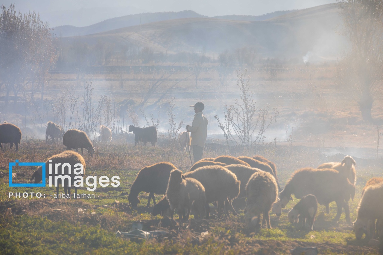 طبیعت پاییزی شهرستان الشتر