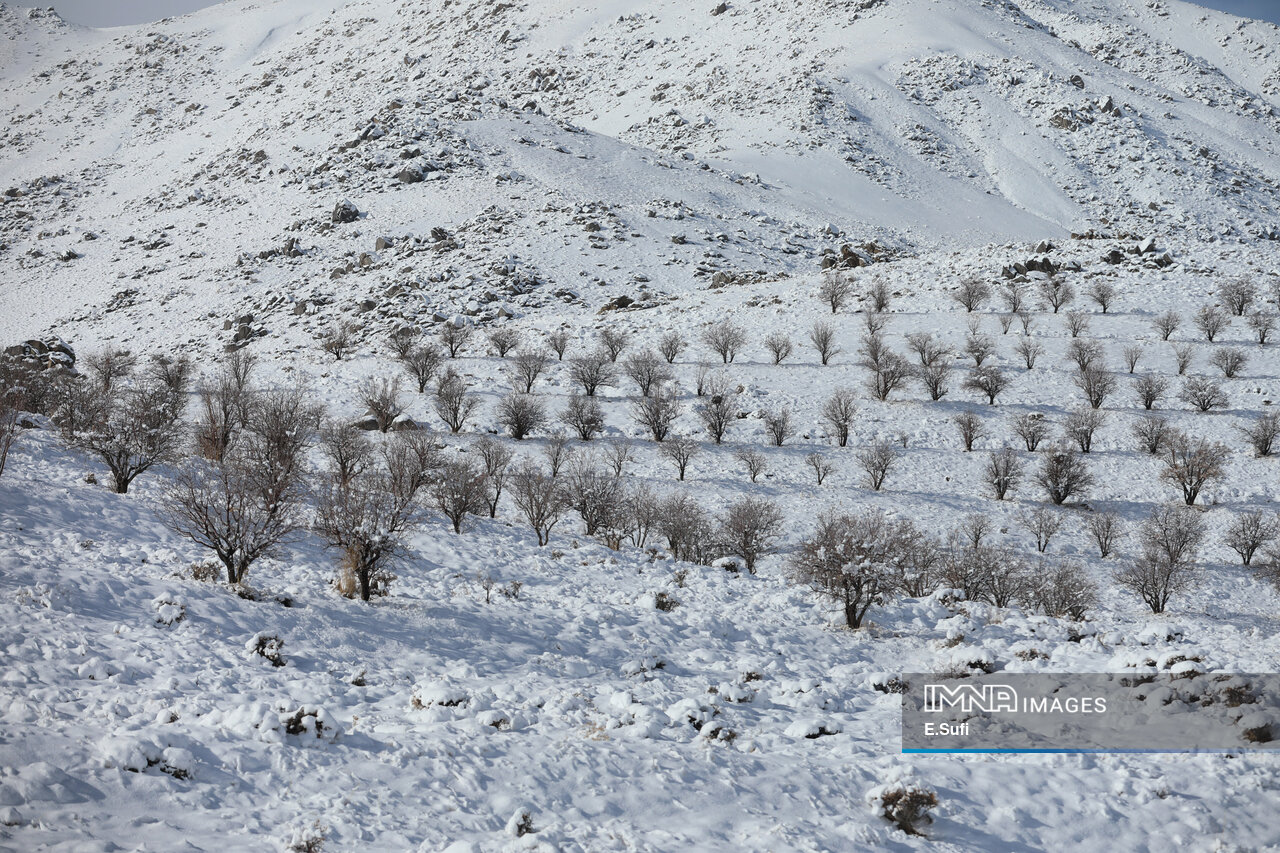 عکس/برف پاییزی در آستانه شازند؛ پایان انتظار زمین تشنه