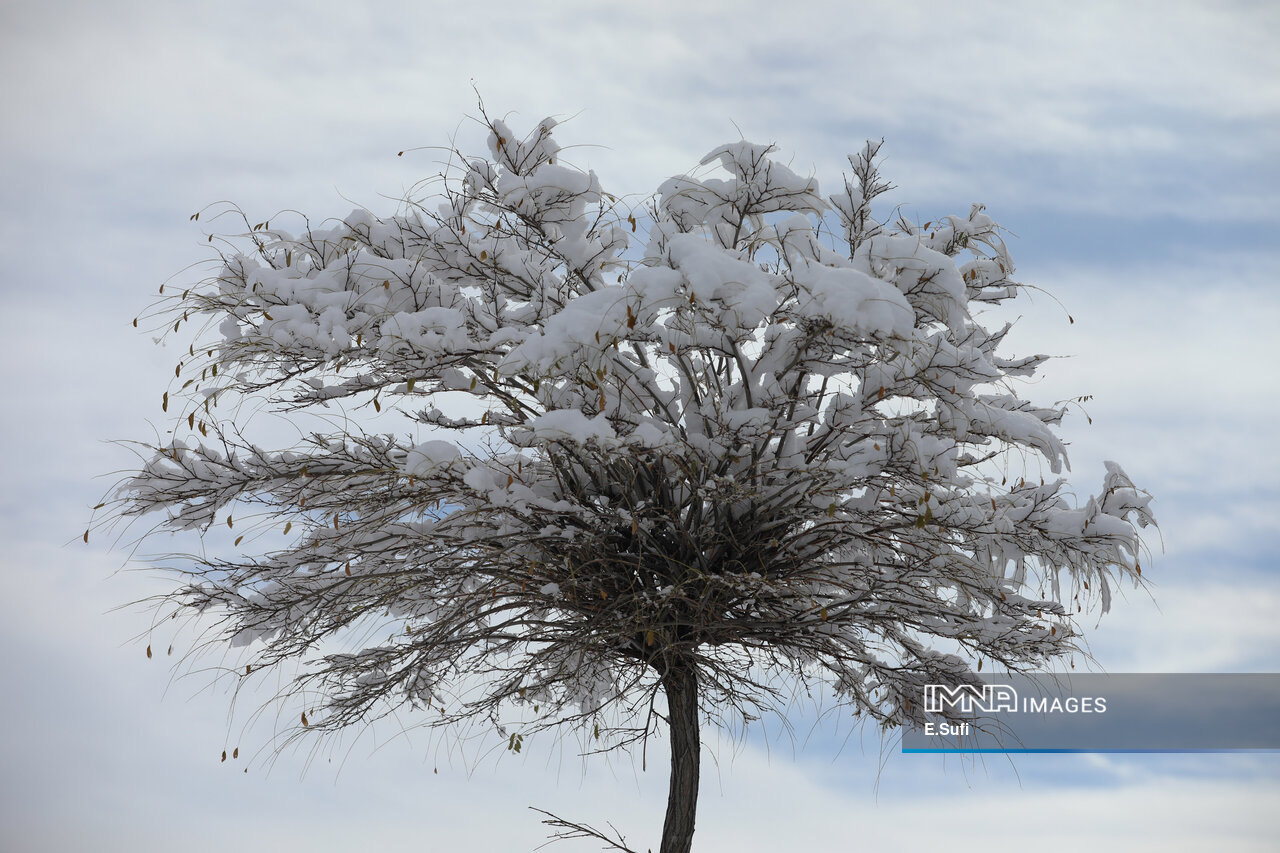 عکس/برف پاییزی در آستانه شازند؛ پایان انتظار زمین تشنه