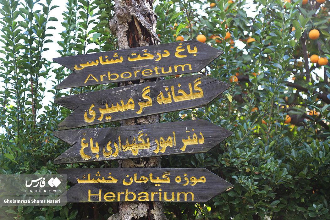 پاییز باغ گیاه شناسی نوشهر