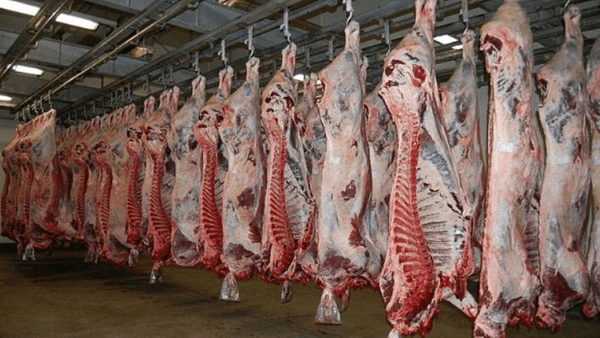 باند توزیع گوشتهای آلوده در اصفهان منهدم شد