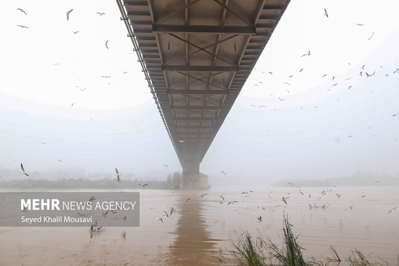 اهواز در مه