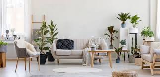 هر گیاهی جاش کجای خونه است؟