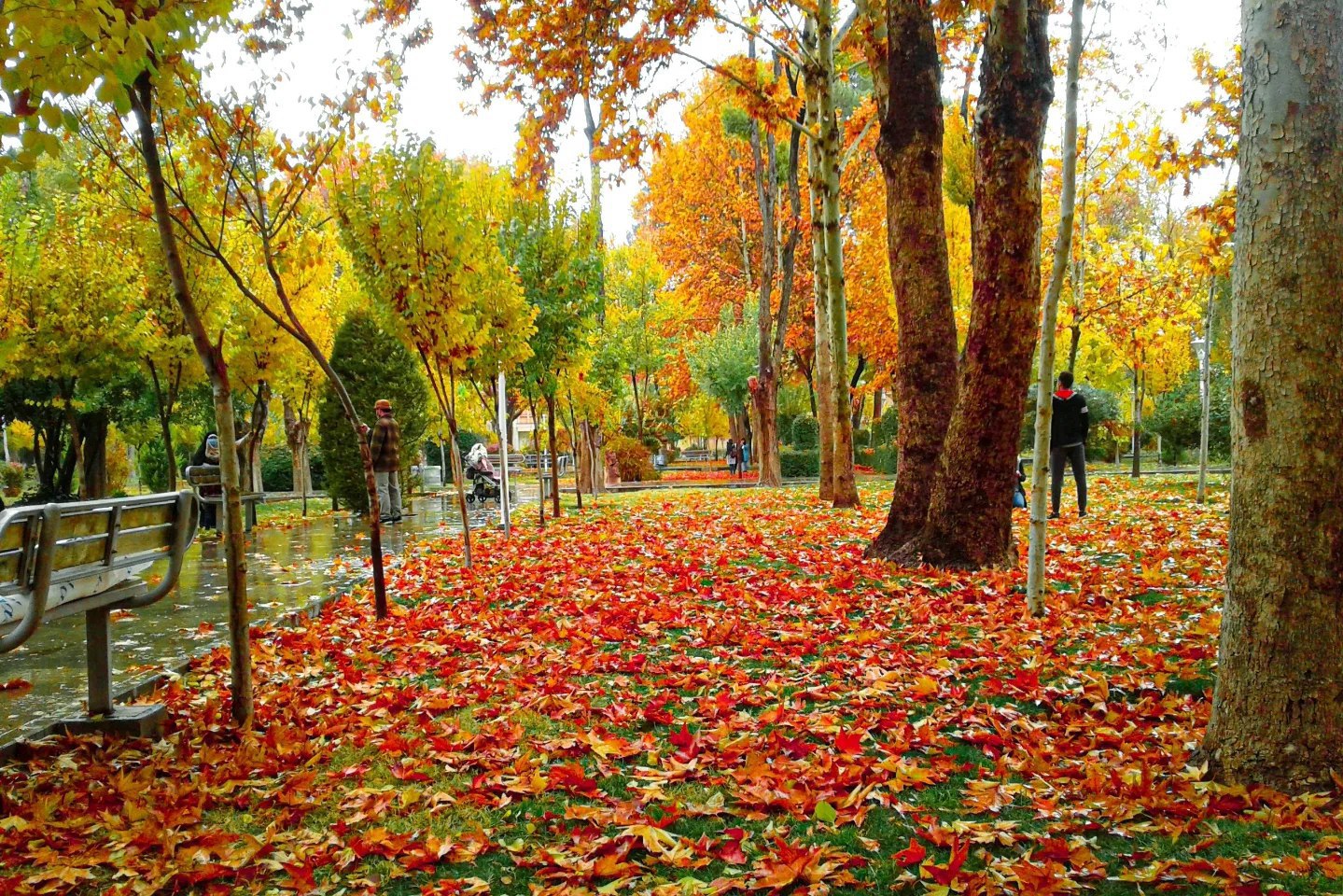 پاییز زیبای اصفهان