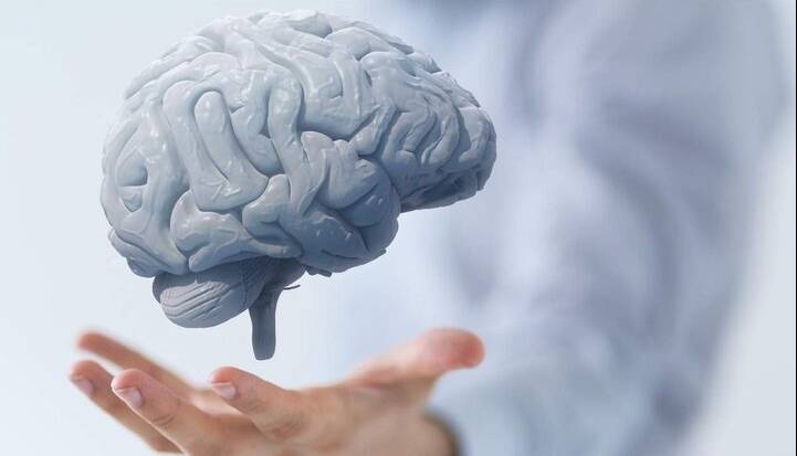 تقویت عملکرد مغز با مصرف این میوهها