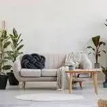 هر گیاهی جاش کجای خونه است؟