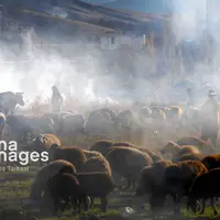  ​​​​​​​طبیعت پاییزی شهرستان الشتر