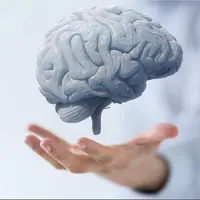 تقویت عملکرد مغز با مصرف این میوه‌ها