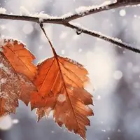 شروع بارشها از اواخر هفته جاری در همدان