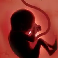 چه کسانی می‌توانند مجوز سقط جنین بگیرند؟