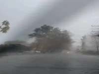 بارش سیلآسا در مازندران