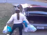 یک عدد تنبل واقعی!