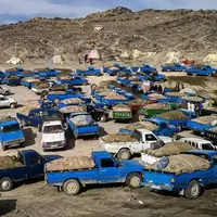 صفر شدن واردات گازوئیل مقطعی یا پایدار