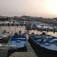 تردد همه شناورها در بندر گناوه ممنوع شد