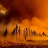 گرمایش زمین همچنان توقفناپذیر؛ ۲۰۲۵ دومین سال گرم ثبتشده در تاریخ بود