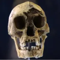 خشکسالی، گرسنگی و مواجهه با انسان خردمند، آخرین فصل زندگی هابیت‌ها را رقم زد