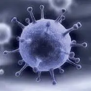 یک کودک، قربانی آنفلوانزا در کهگیلویه و بویراحمد