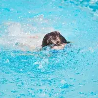 غرق شدن ۳ کودک در استخر کشاورزی 